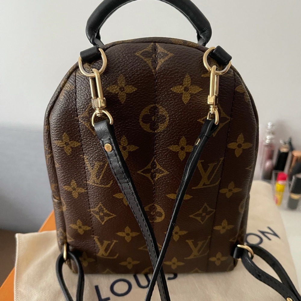 LV Palm Spring Mini Backpack - Picture 4 of 9